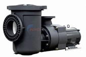 EQ Series Pump 5HP 1-Phase 230V W/ Strainer (EQ-500)