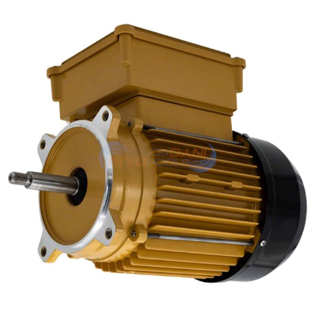フライゴン HP120 Hayward Super Pump Motor, 1HP, C Flange, TEFC - SPX2607Z1MTG
