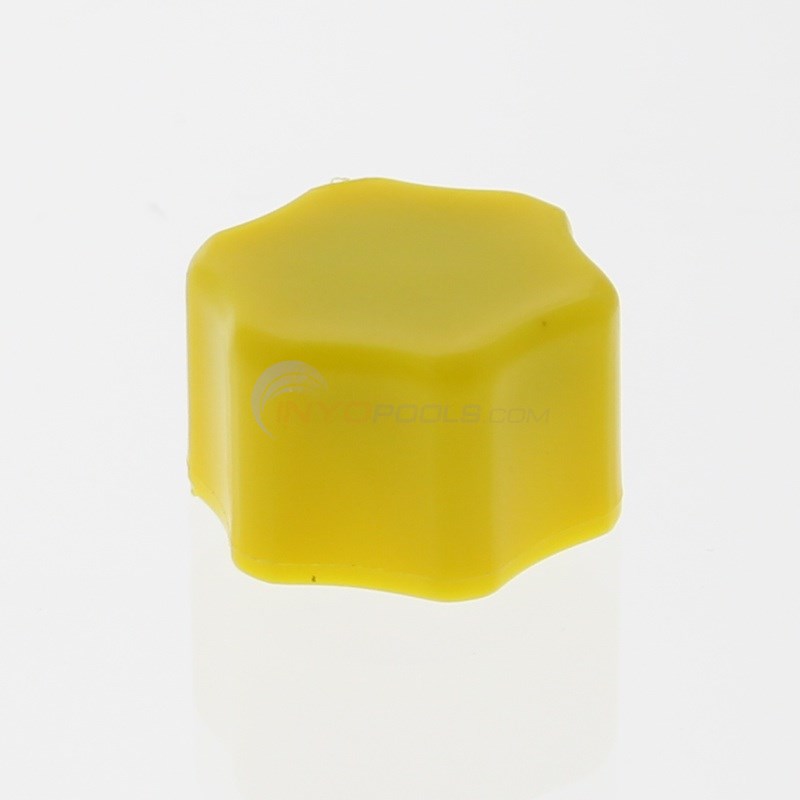 Speck Pumps Drain Cap 3/8