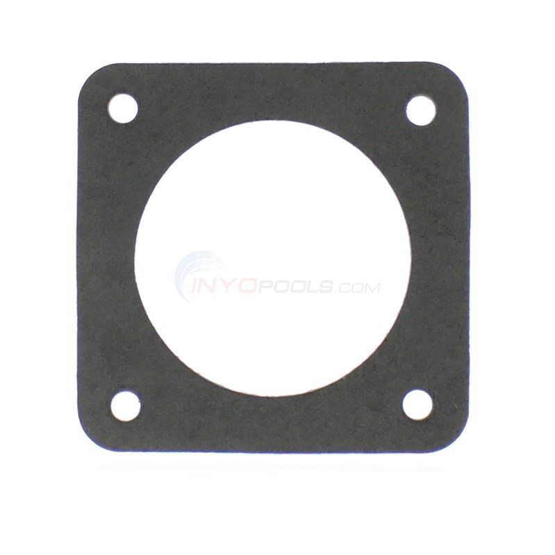 GASKET, STRAINER TO VOLUTE (STC20-19)