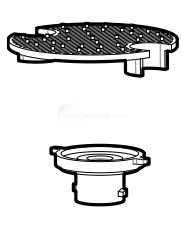 Jandy TruChlor Grate and Check Valve Assembly - R0966500 - INYOPools.com