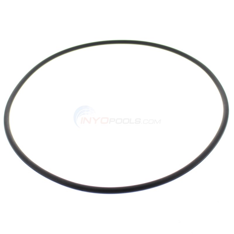 O-RING (31935-0001)