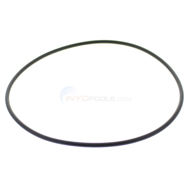 O-ring, Lid