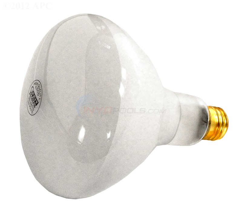 500 Watt R40 120/130Volt Pool Light Bulb NA706