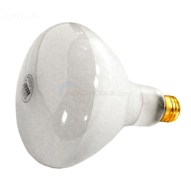 Replacement bulb 500W 120V - 120V500W