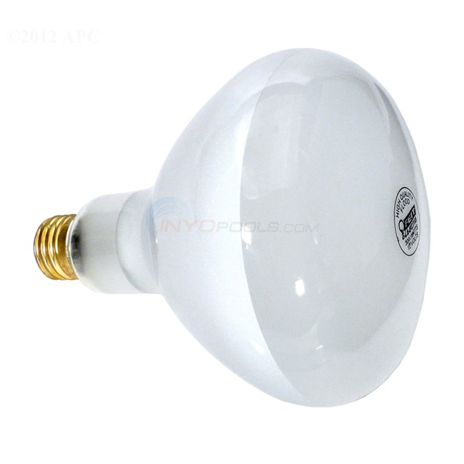 300W Flood Light Bulb, 12V, 6.38" x 5.0" Diameter, R-40, Hayward, Pentair Lights - NA700