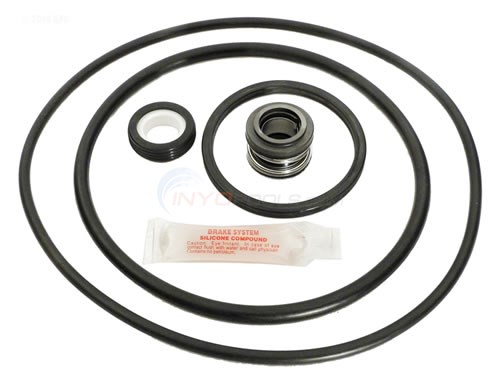 Pentair Pacfab Pinnacle Pump Seal Kit - Model GOKIT24
