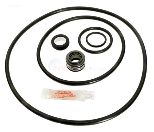 Syun　1207 Sta-Rite Max-E-Pro Pool Pump Seal Kit, Pre February 2015