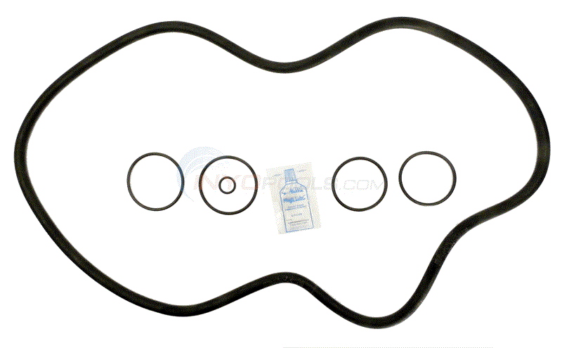 Hayward C3000/C4000 O-Ring Kit