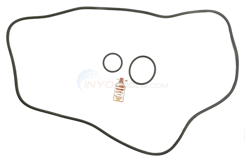 Sta-Rite DEP51 O-Ring Kit