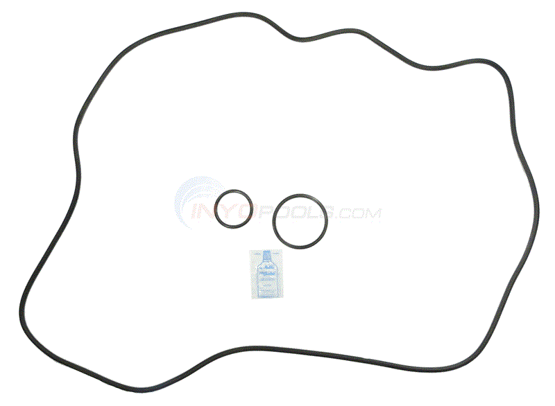 Sta-Rite DEP83 O-Ring Kit