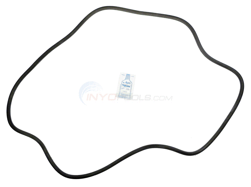 Sta-Rite DES51 O-Ring Kit