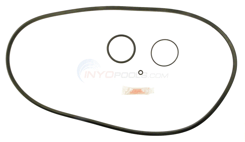 Pentair FNS Filter O-ring Kit