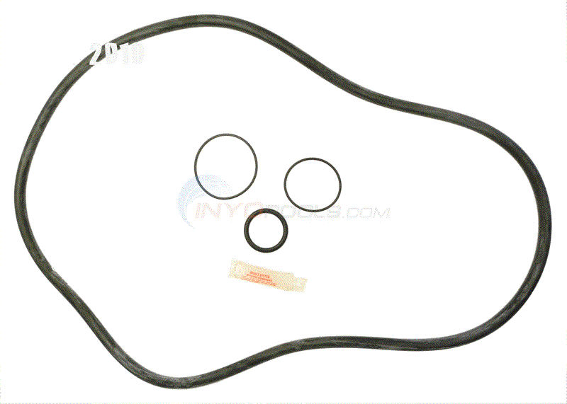 Pentair FNS PLUS Filter O-ring Kit