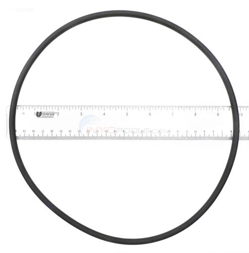 Pump Seal Plate and Filter Tank O-ring, O-239 - SPX4000T - STWC9-3