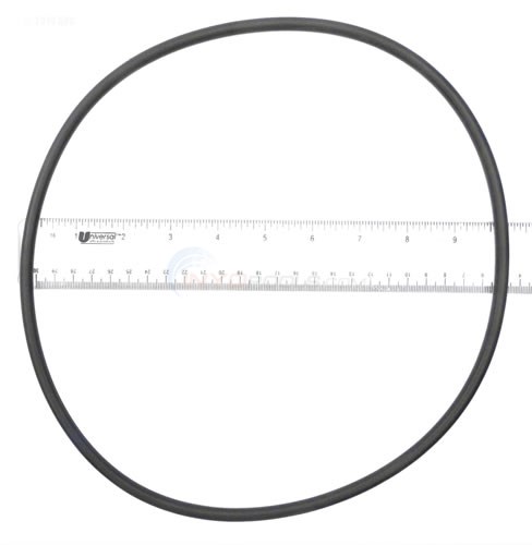 Volute O-ring