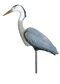 Decoy - Standing Heron