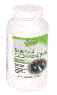 Aquascape Fish Medication Ecorx Fungus Control 17 Oz 99413