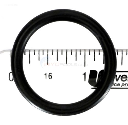 O-RING, ASTRAL MPV's