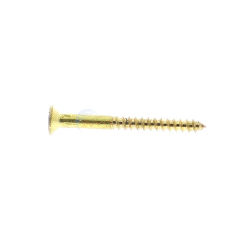 Wood Deck Anchor for Pool Safety Cover - WS005