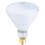 Feit Electric Company 500 Watt R40 120/130-Volt Pool Light Bulb - NA706