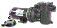 Jacuzzi Inc. 1.5 HP BSeries Horizontal Discharge Pump
