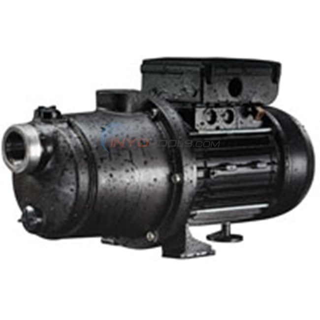 Pentair Boost-Rite Booster Pump - LAMS05
