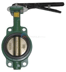 3 in. Butterfly Valve