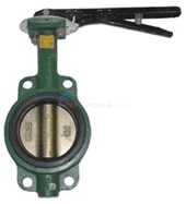 2 in. Butterfly Valve