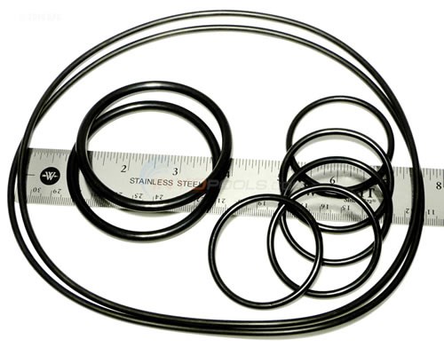 CARETAKER WATER VALVE O-RING KIT