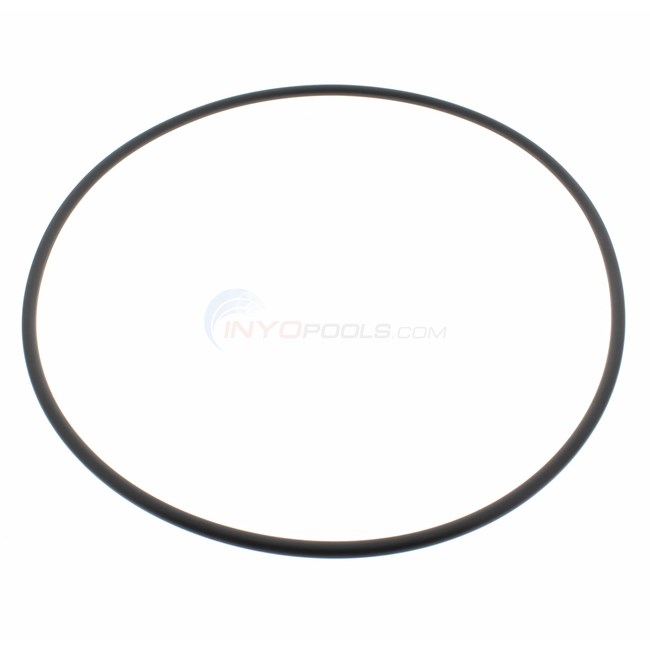 Hayward SwimClear Filter Head O-Ring - CXFHR1001