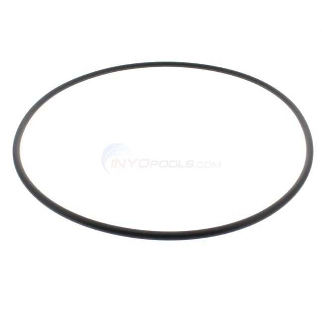 Hayward SwimClear Filter Head O-Ring - CXFHR1001