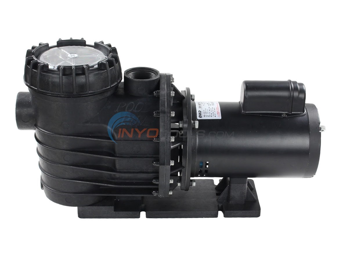 DXD Pool Pump 3 HP 240V - PL3591 - INYOPools.com