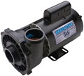 Waterway Executive 56 2HP Spa Pump, 230V, 2 speed, 2.5"S x 2"D - 3720821-13