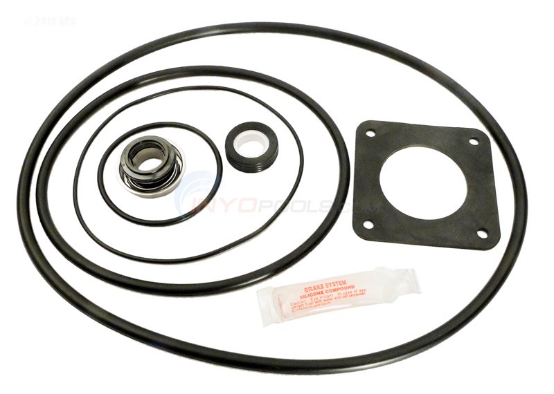 Tune Up Kit - Ultra Flow & Bronze Pump