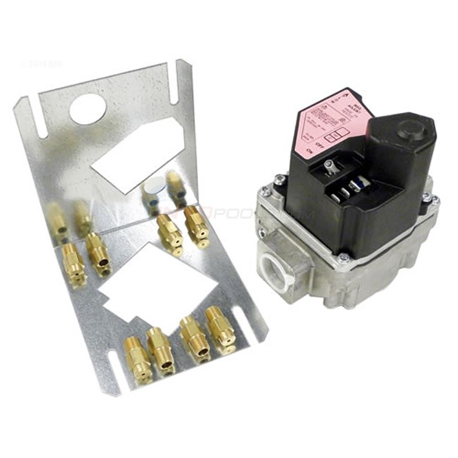 Hayward H-Series Conversion Kit Electronic Ignition 150 - 400 BTU Natural to LP - HAXCNK0009