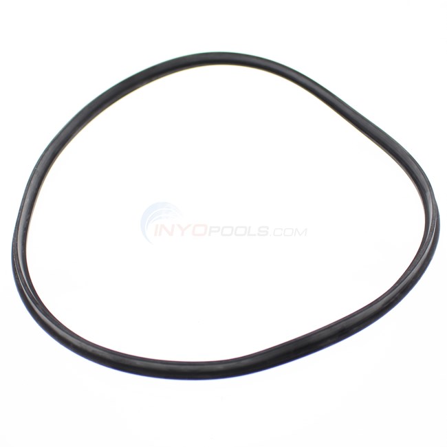 T-Ring, Strainer Cover (O-510) - SPX4000TS