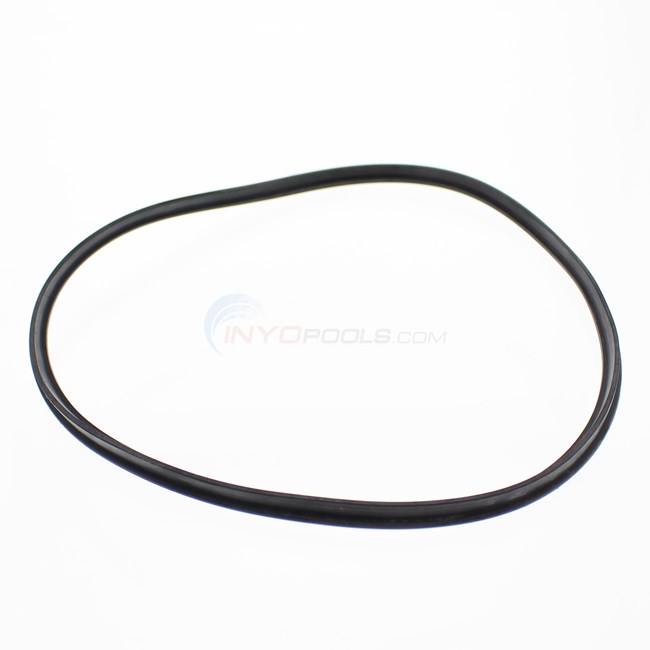 T-Ring, Strainer Cover (O-510) - SPX4000TS