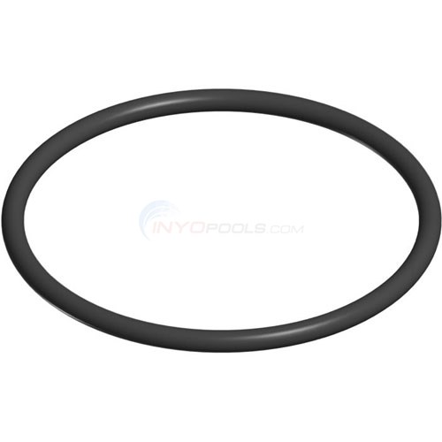 Strainer Cover O-ring
