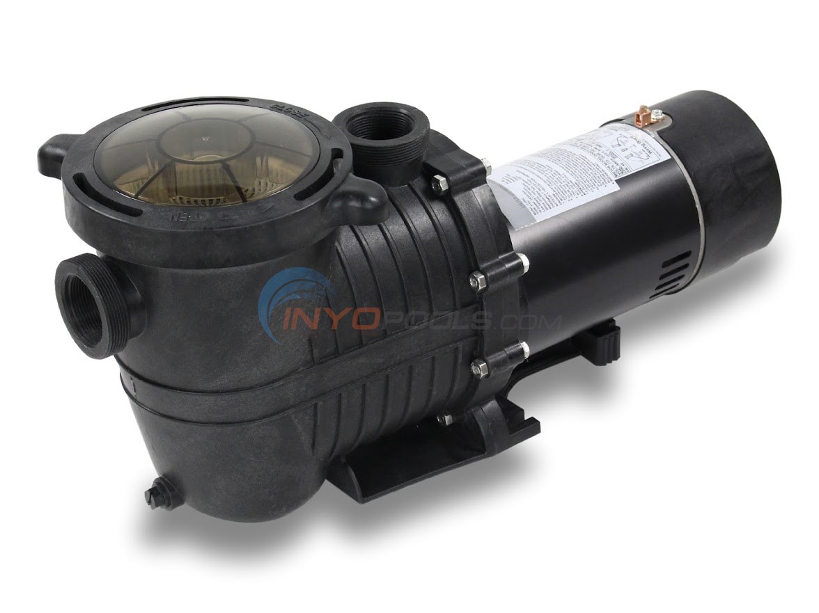 1.5 H.P In Ground Pool Pump 115V Dual Speed - IP11502