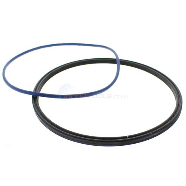 Jandy Zodiac Stealth, SHP, and ePump Pool Pump Lid Seal and O-ring Replacement- R0446200