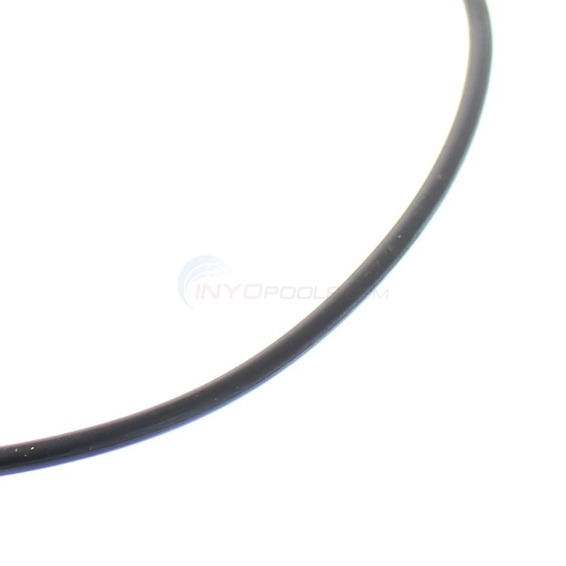 OEM Backplate O-Ring for select Jandy Zodiac Pool and Spa Pumps, O-521 - R0446300