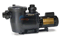 Jandy Stealth Pump 2 1/2 HP Dual Speed Scratch and Dent