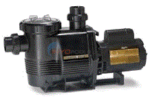 Jandy PlusHP Pump 2.0 HP Up Rate Dual Speed PHPM202
