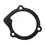 Little Giant Gasket Volute, Front (101604)