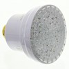 ColorSplash LXG LED Spa Lamp 120V
