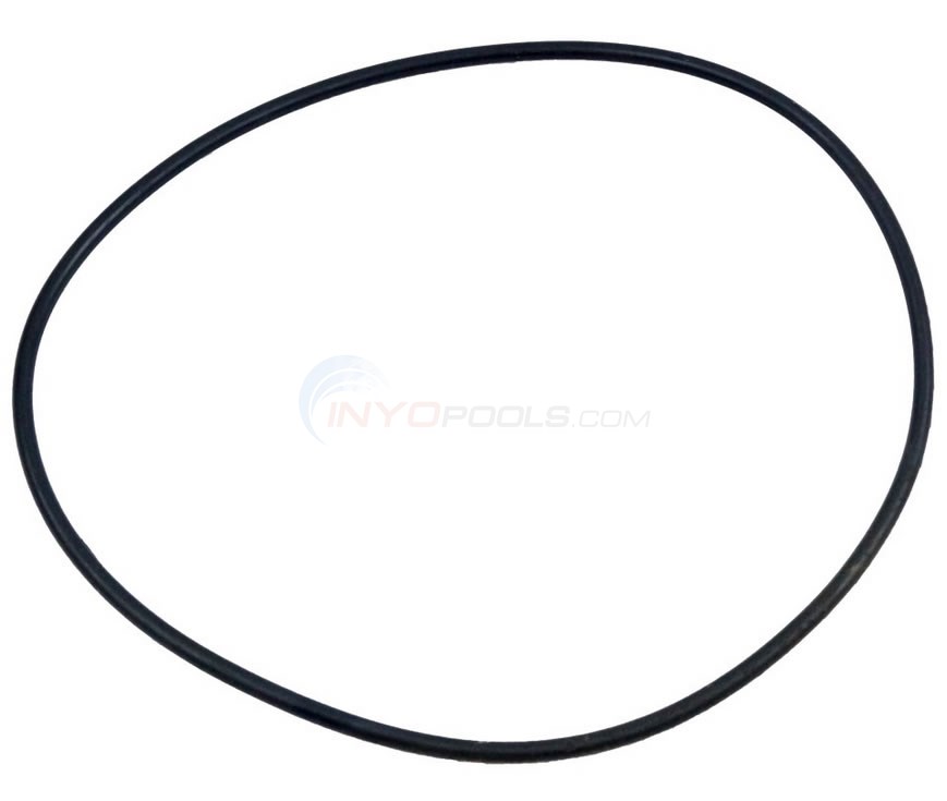 Pureline Pool Pump Housing Oring PL1589