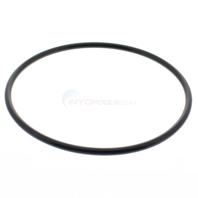 Parco Pump Strainer Lid O-Ring - 353