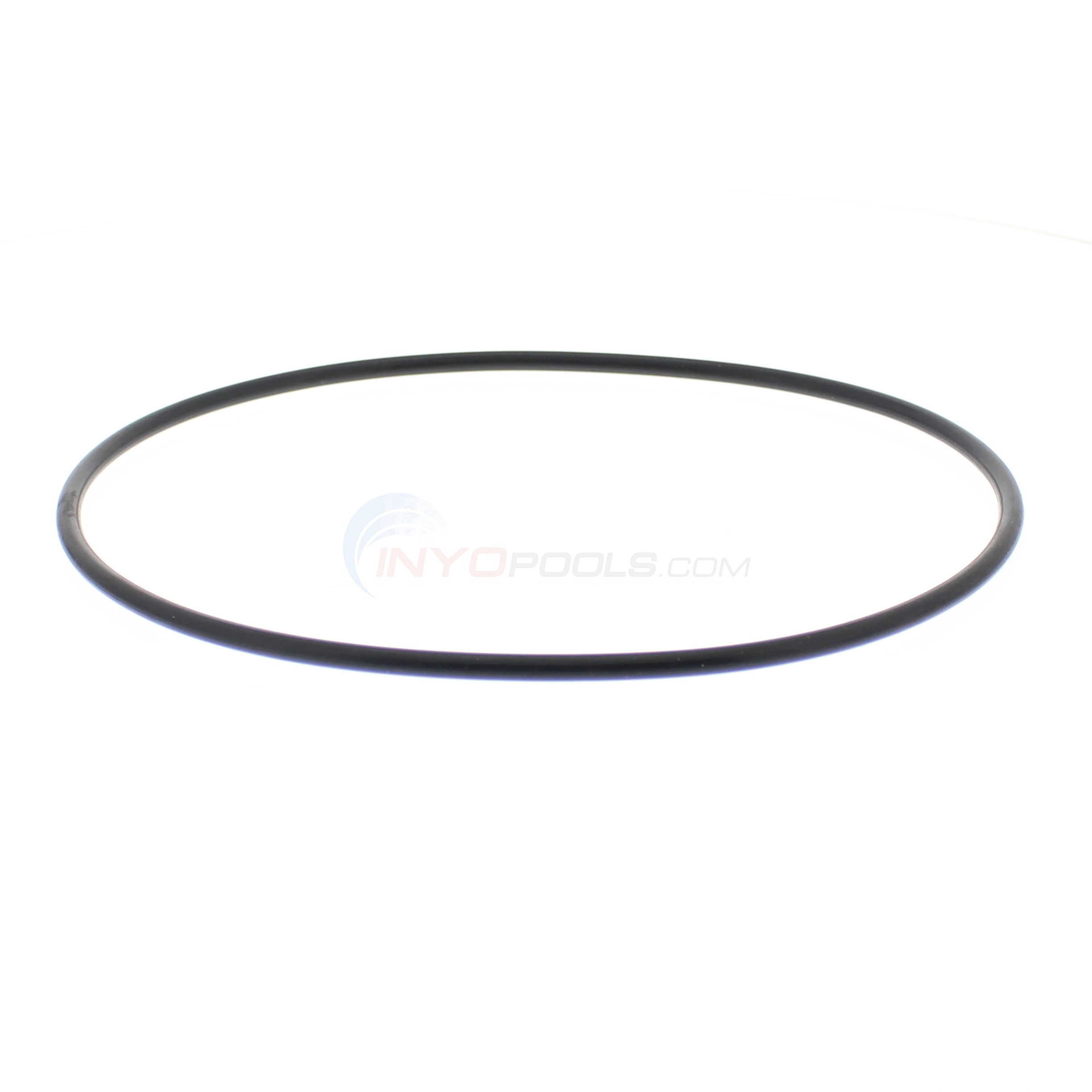 Parco Pentair Predator, Clean and Clear Tank O-ring Generic - 447