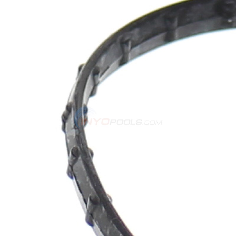 Pentair Union diamond seal 178746z